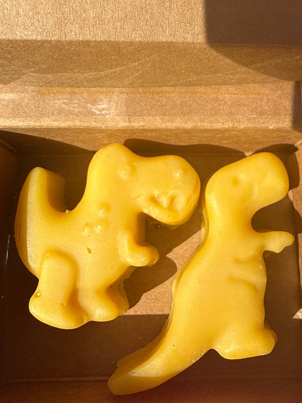 Mini  Dinosaur soap