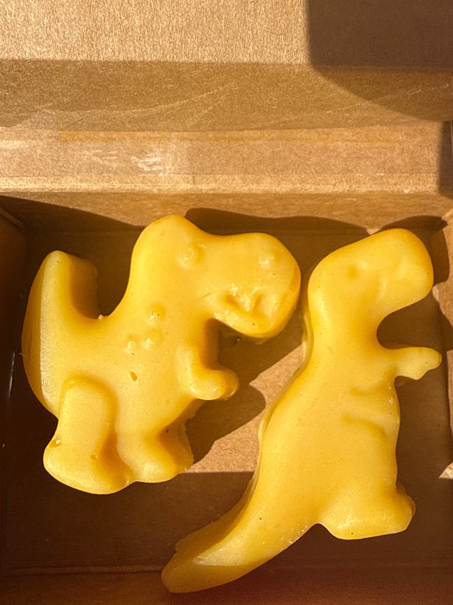 Mini  Dinosaur soap